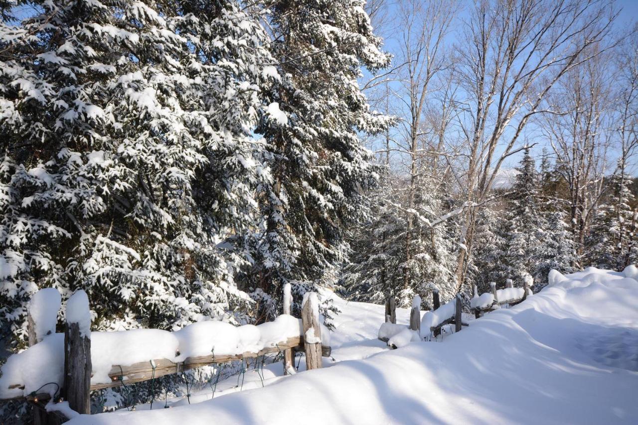 Jardin Du Village By Chez Tremblant モントランブラン エクステリア 写真