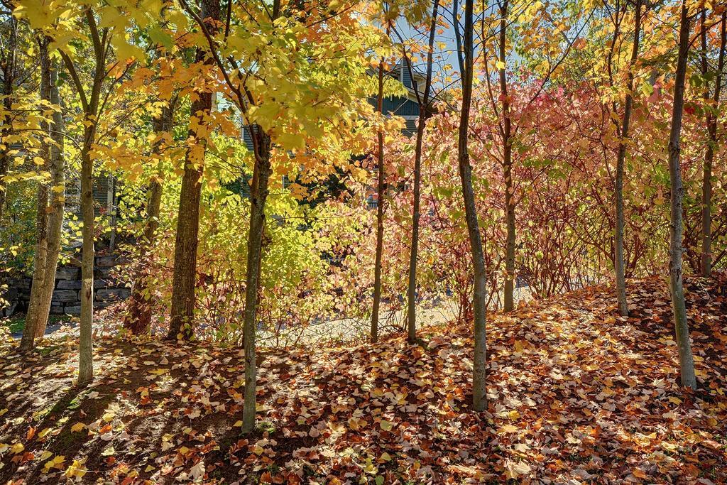 Jardin Du Village By Chez Tremblant モントランブラン 部屋 写真